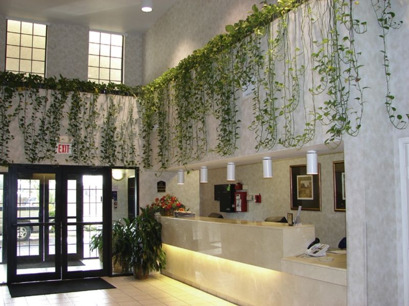 Quality Inn & Suites Airport Austin Bagian luar foto